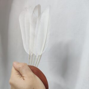 Schamanischer Fächer mit weißen Taubenfedern und Kirschholz 3