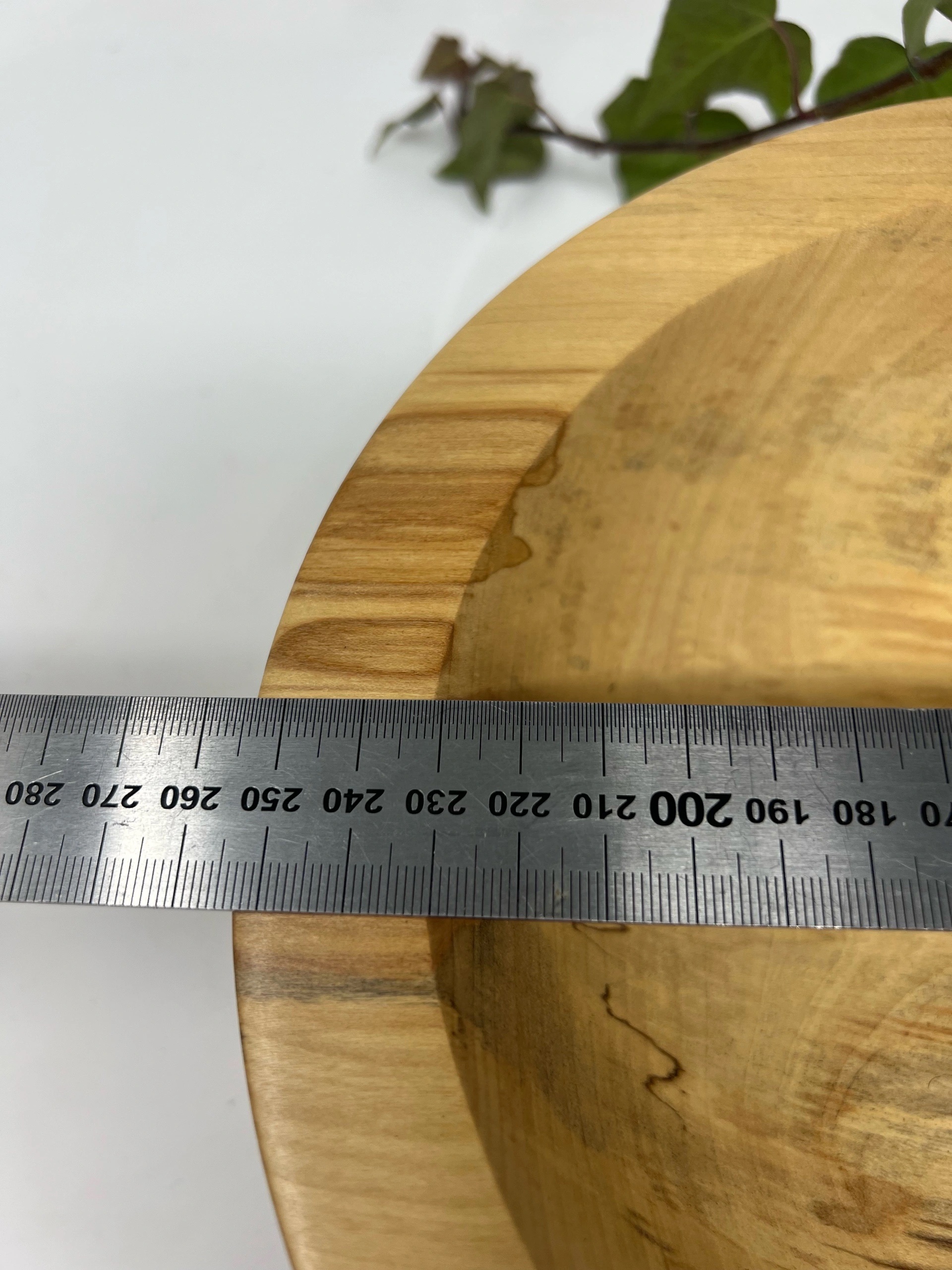 Schale Birkenholz – Bild 4