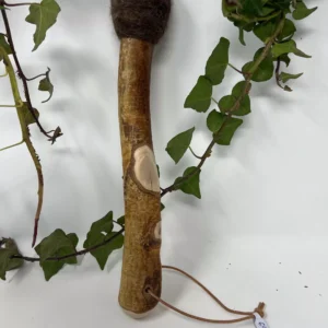 Trommel Schlegel -Birke;Schafwolle-