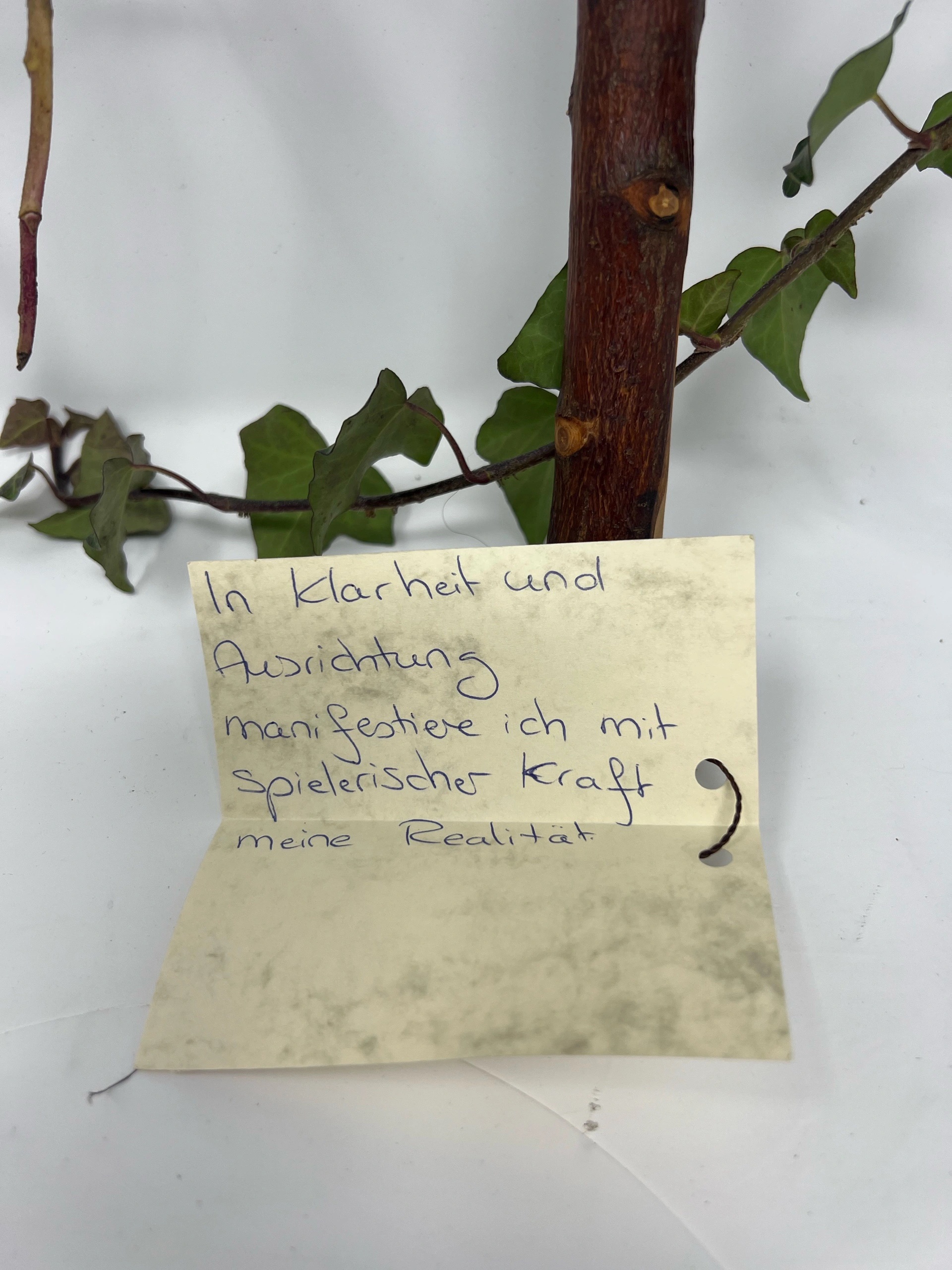 Ritualrassel Tiegerauge & Bergkristall – Bild 4