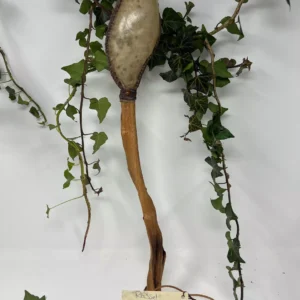 Ritualrassel Karneol