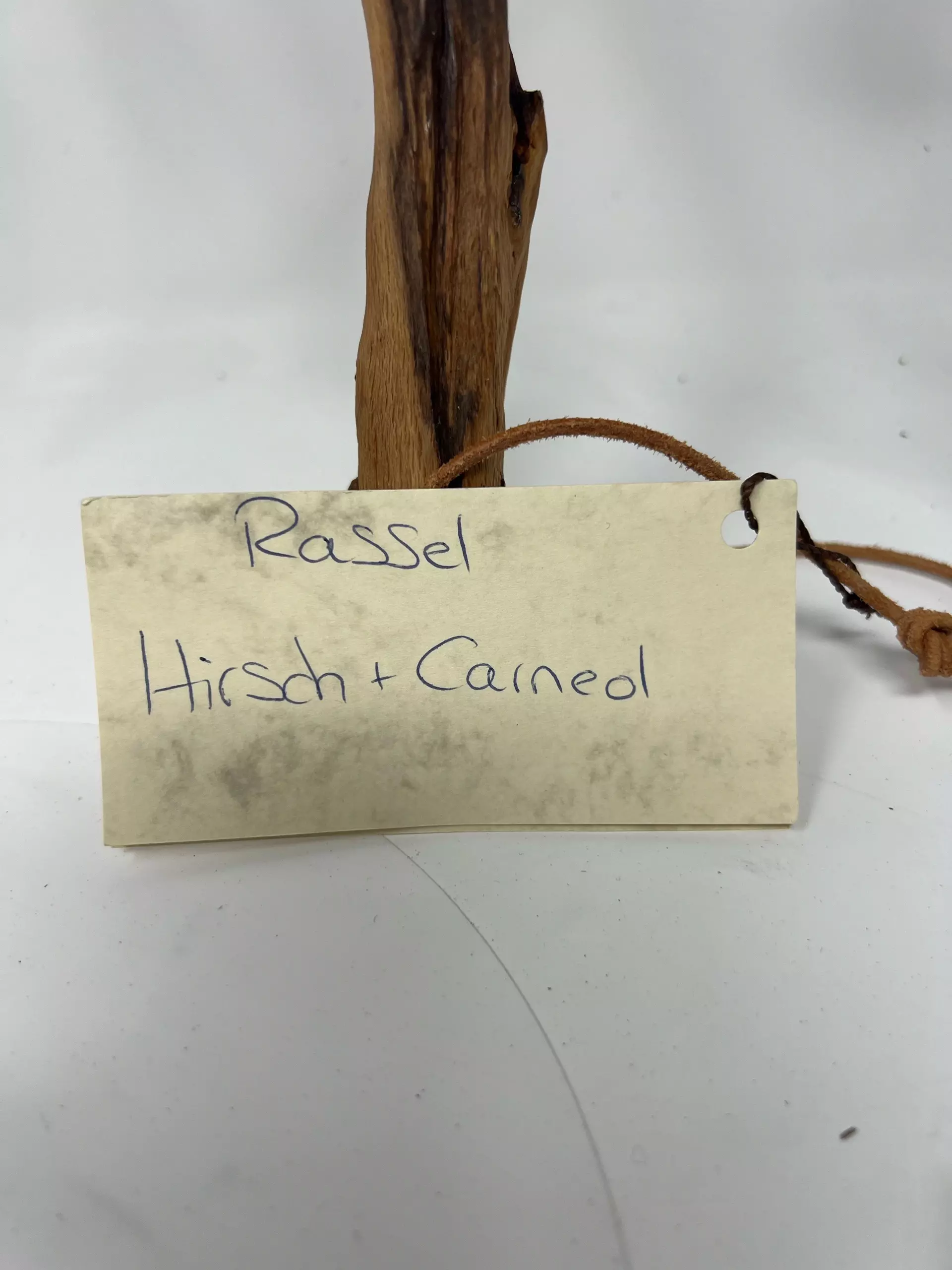 Ritualrassel Karneol – Bild 3