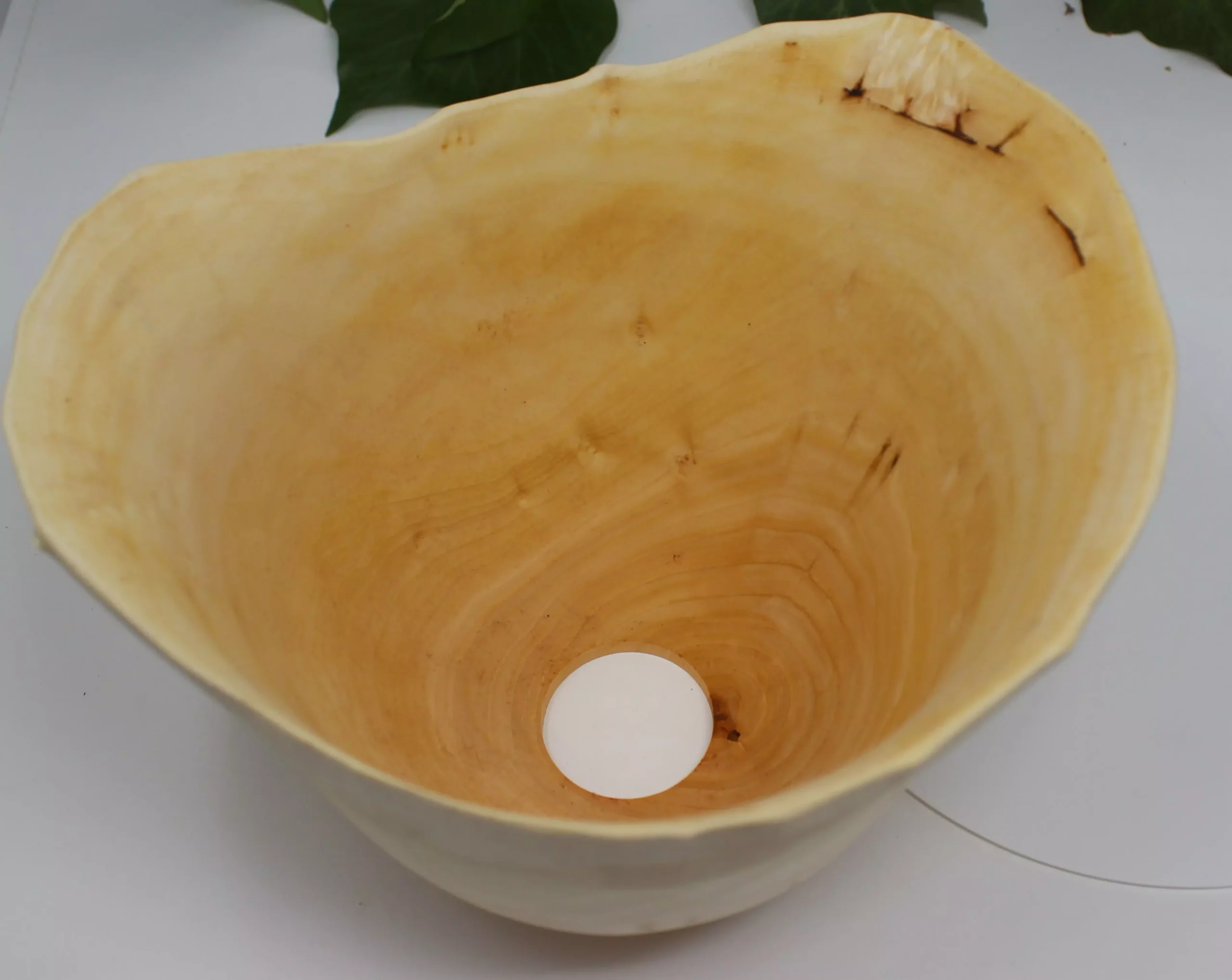 Lampenschirm Weide – Bild 3