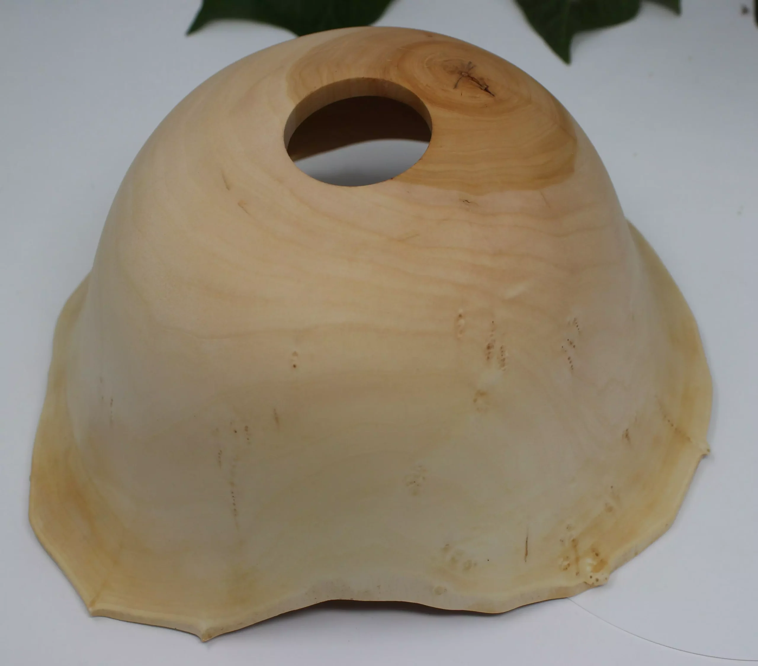 Lampenschirm Weide – Bild 3