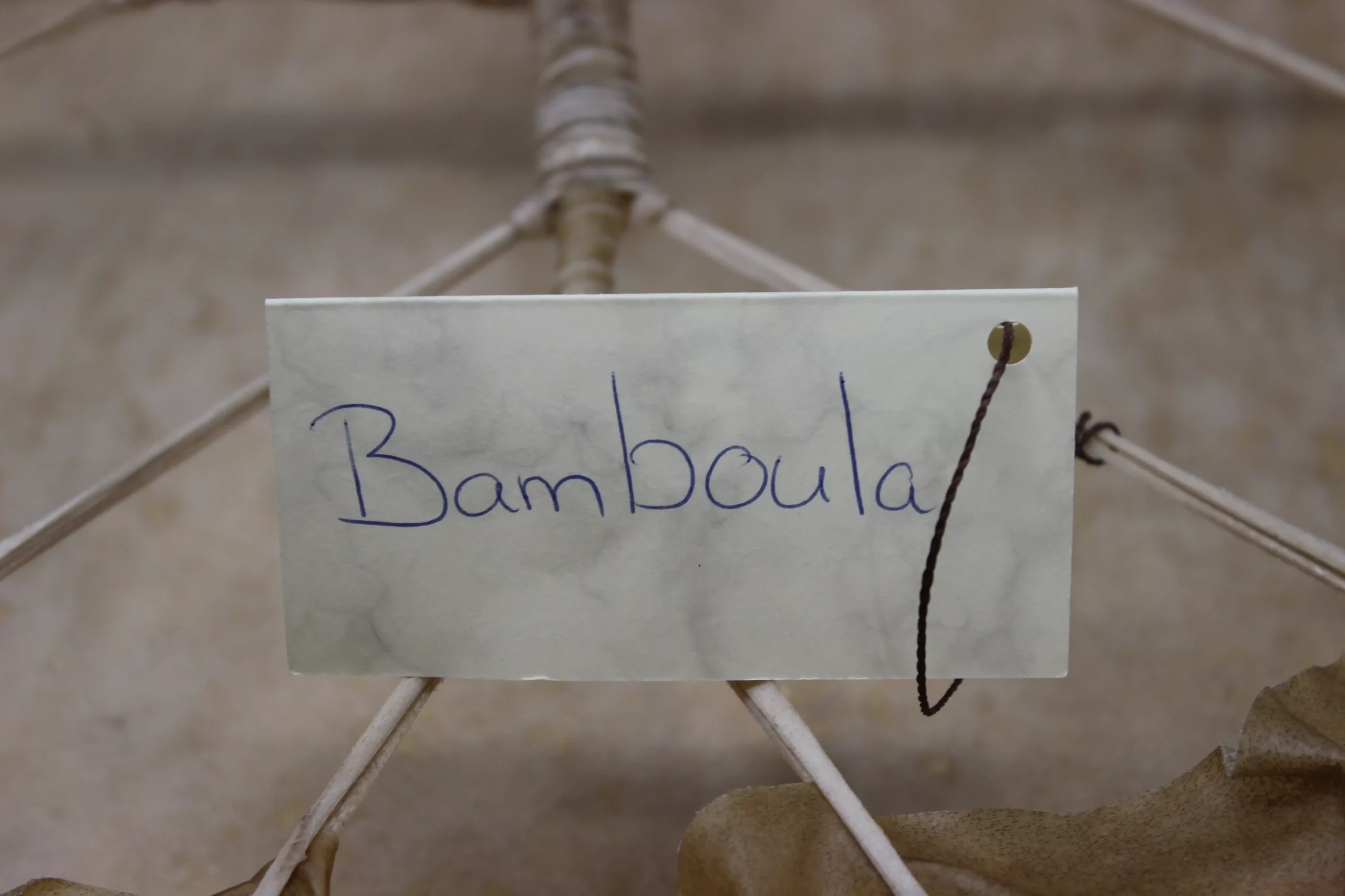 Schamanentrommel Bamboula Ø ca.50cm – Bild 6